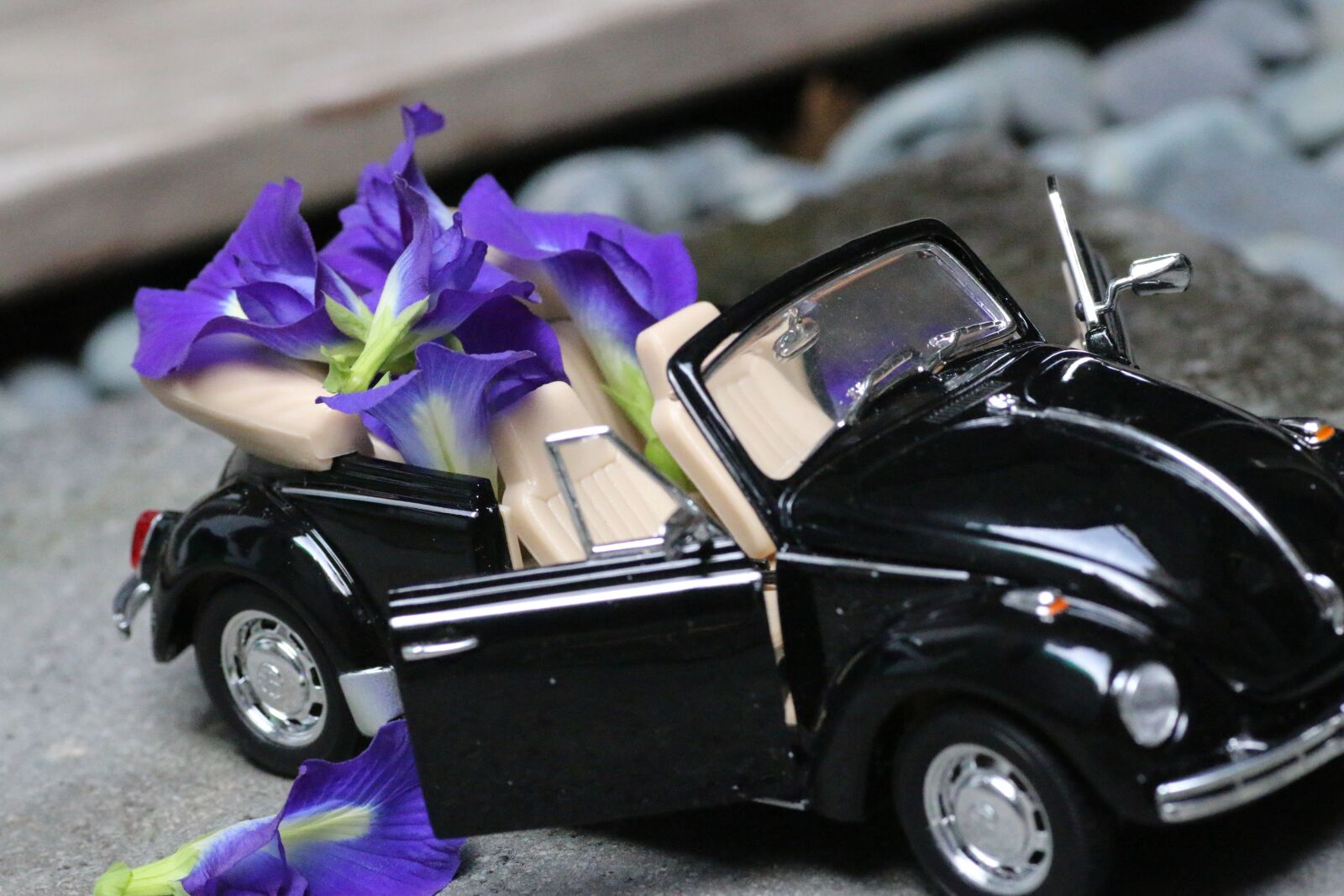 Canon EOS 70D sample photo. Model car, flower, decoration photography