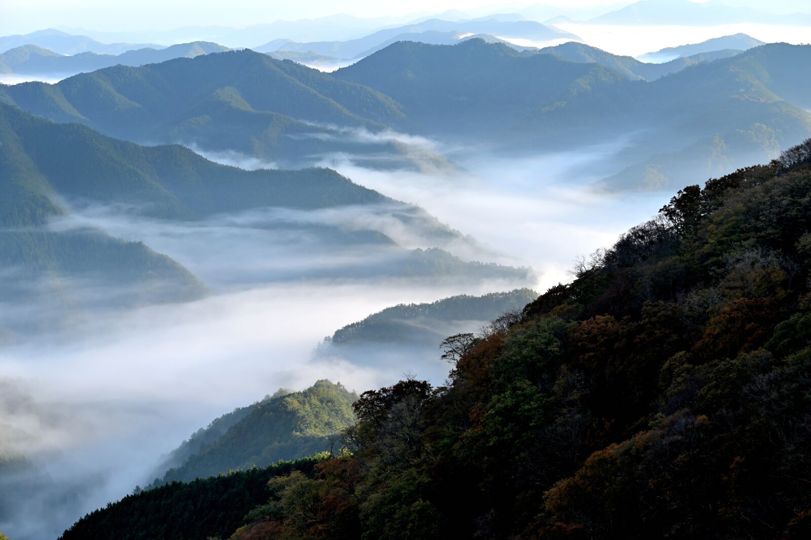 Nikon Z6 sample photo. Sea of clouds, mountain photography