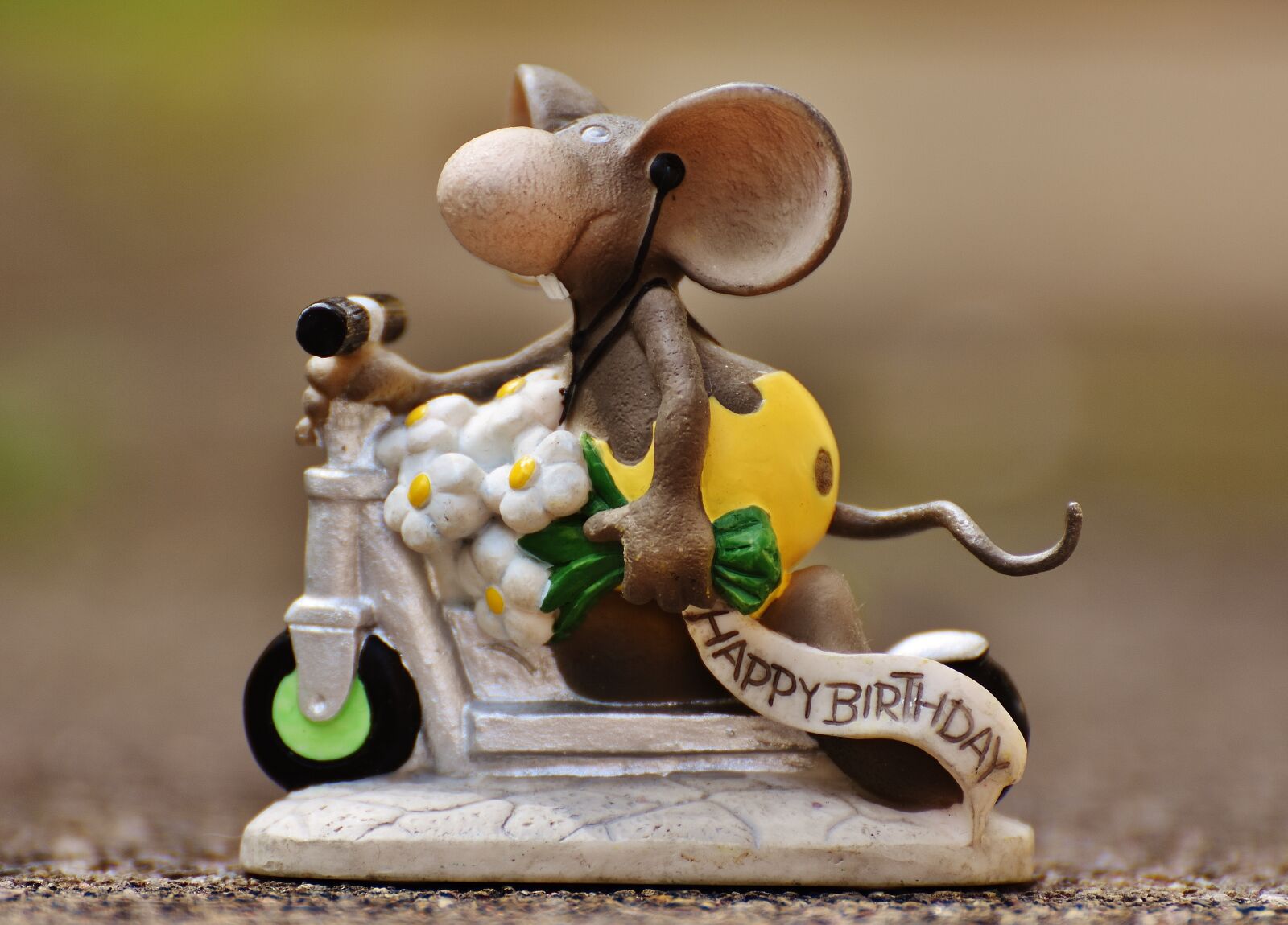 Nikon D7200 sample photo. Birthday, mouse, roller photography