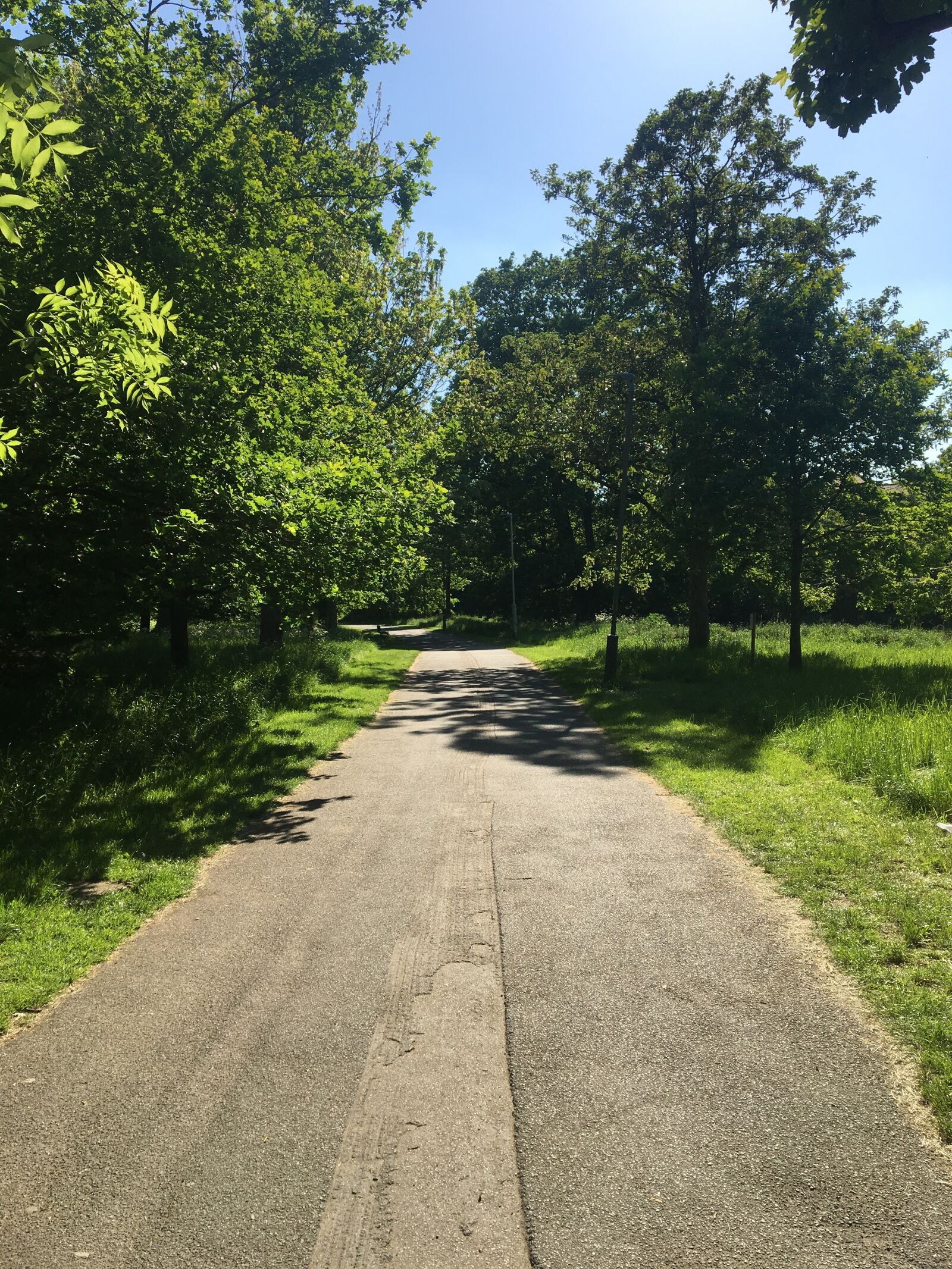 Apple iPhone 6s sample photo. Path, sky, blue photography
