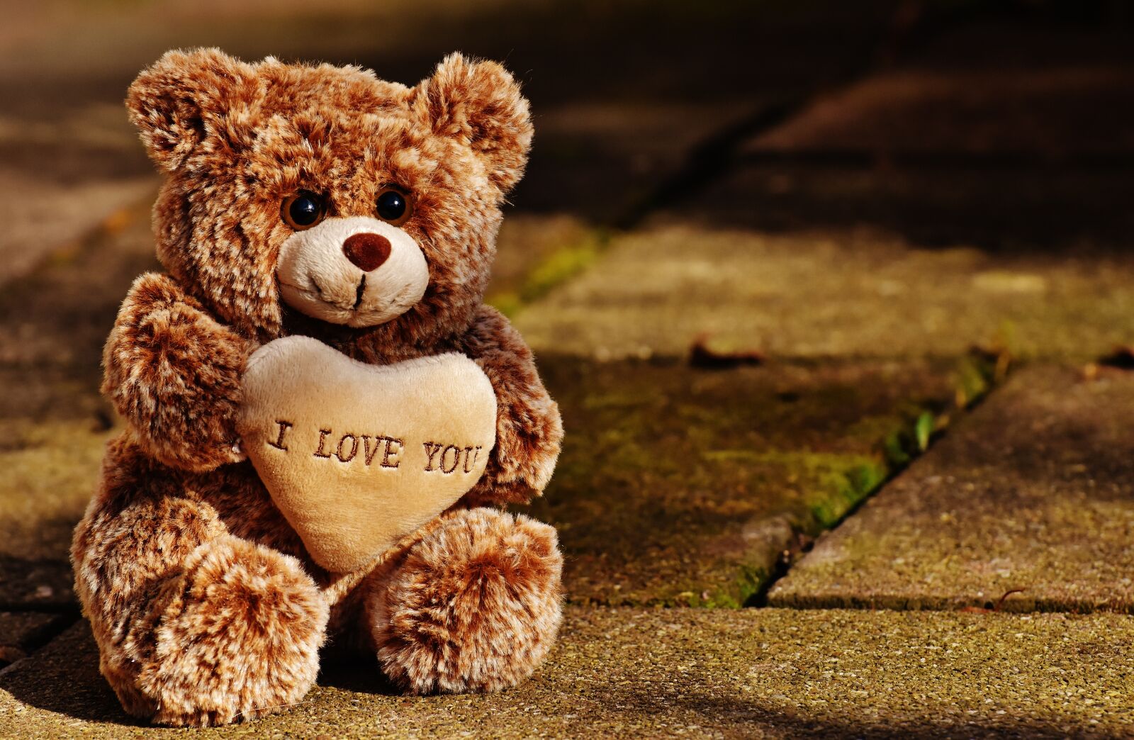 Nikon D7200 sample photo. Love, teddy, bears photography