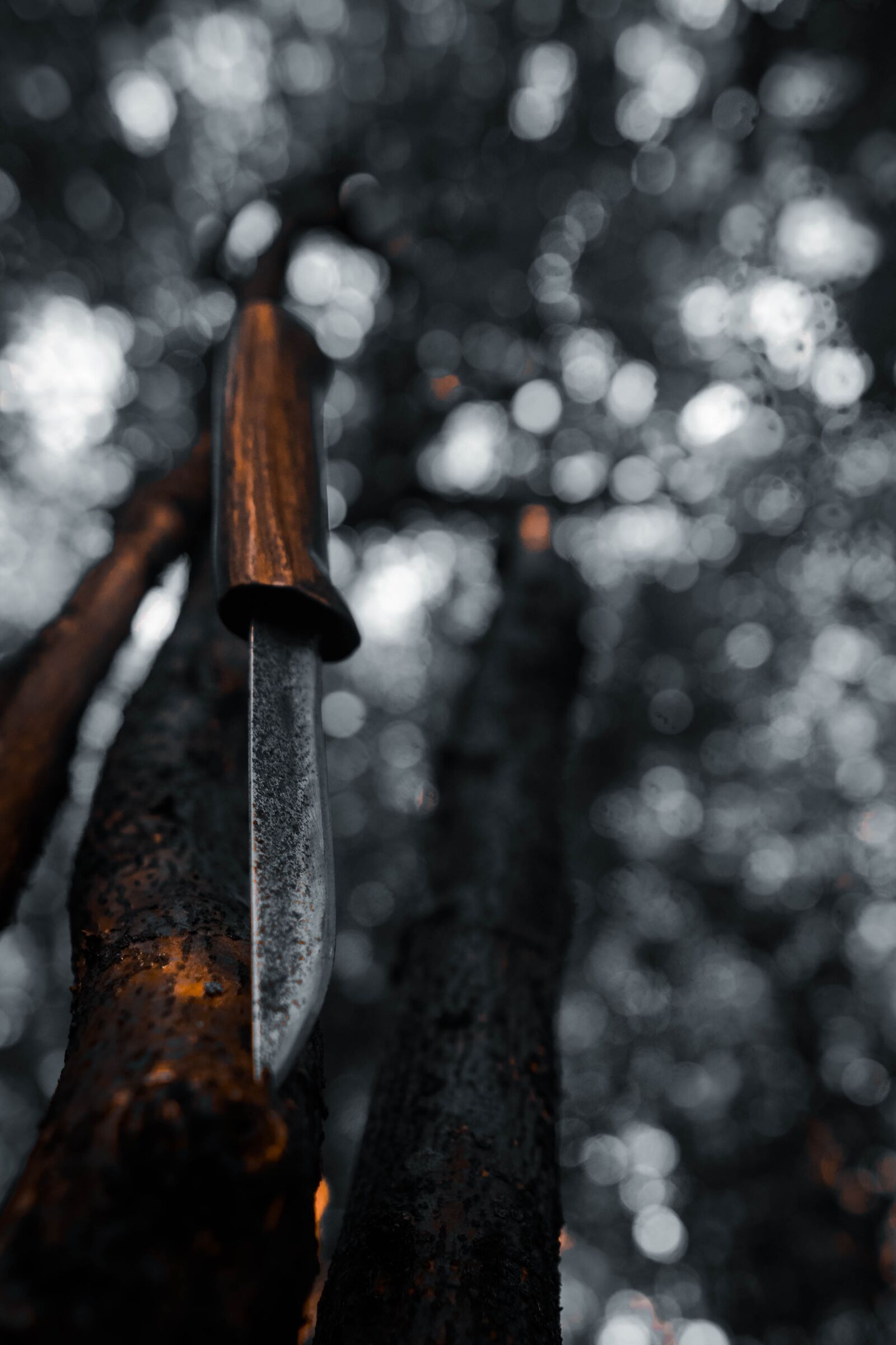 Sony a6400 + Sigma 16mm F1.4 DC DN | C sample photo. Nature, knife, hot photography