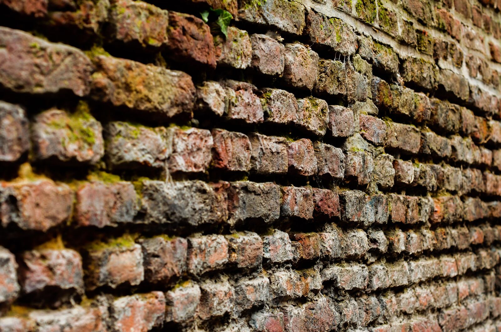 Nikon D300S sample photo. Model, wallpaper, rough photography