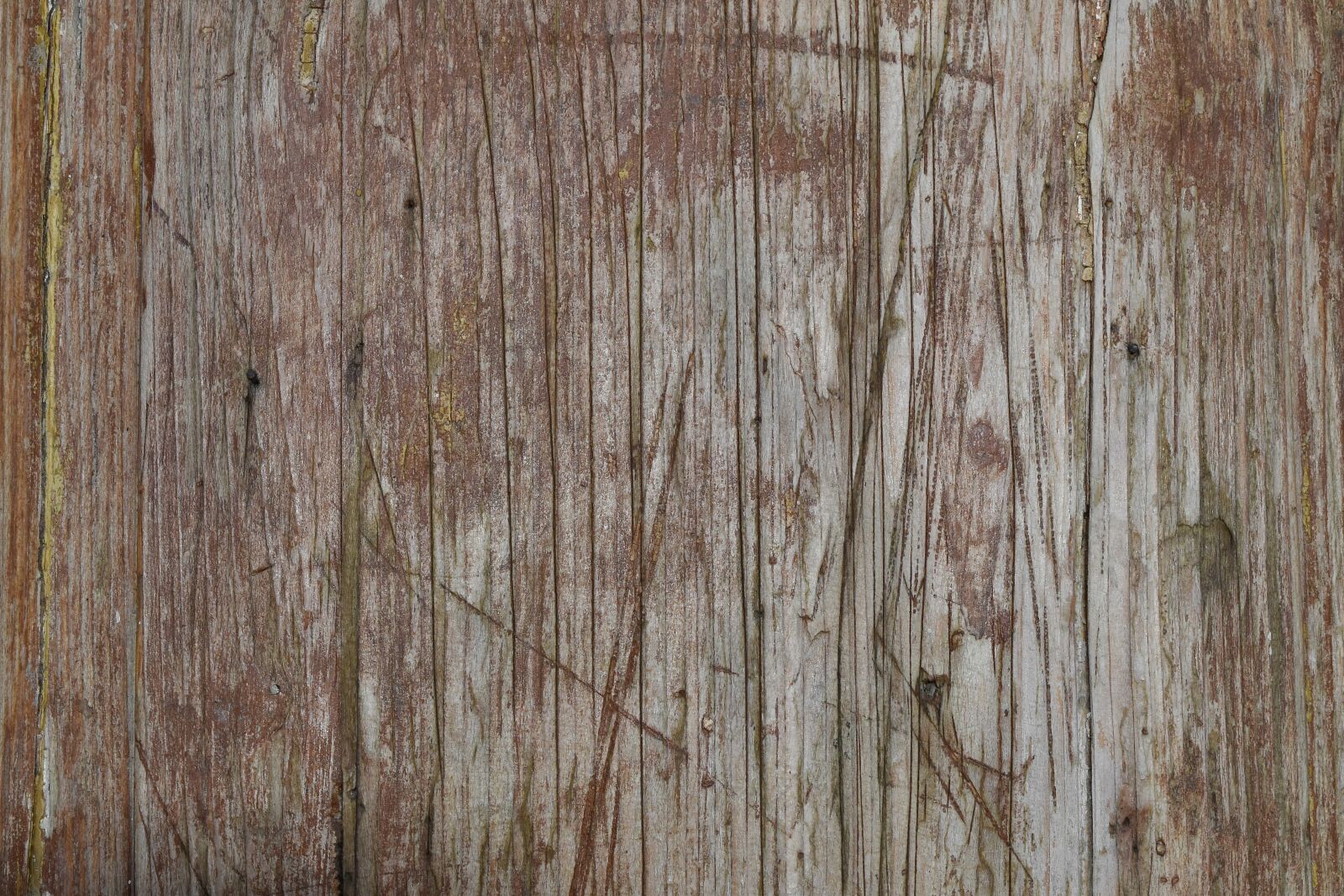 Nikon D5500 sample photo. Old, hardwood, pattern, wood photography