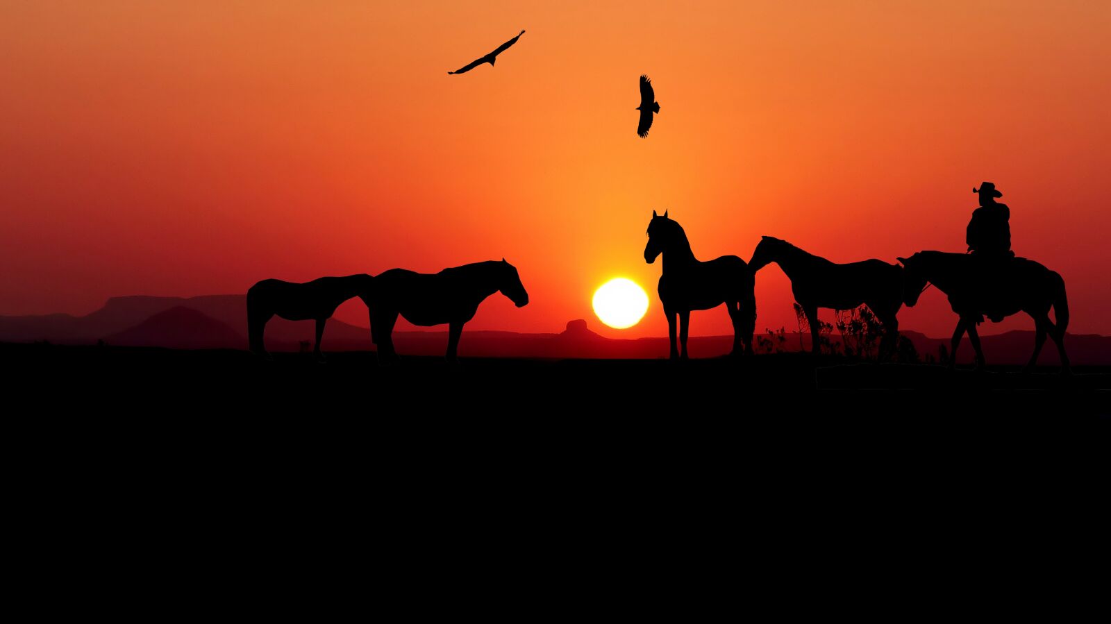 Panasonic Lumix DMC-FZ200 sample photo. Sunset, horses, jumper photography