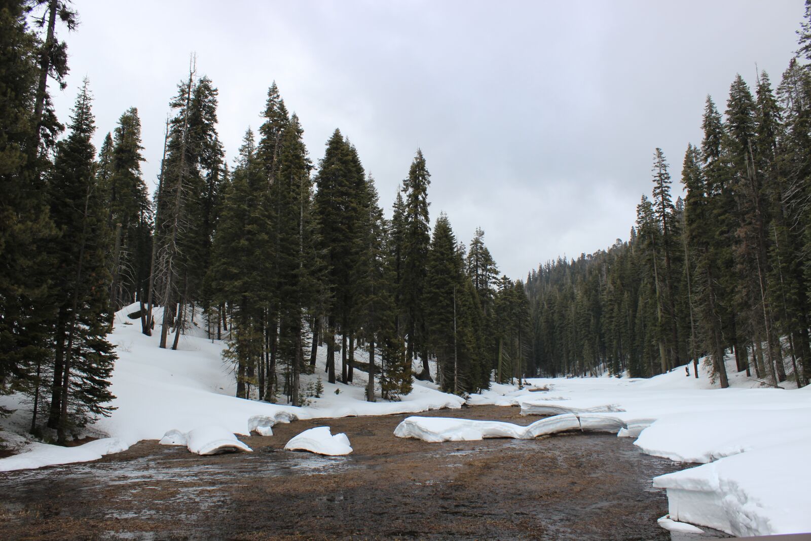 Canon EOS 600D (Rebel EOS T3i / EOS Kiss X5) sample photo. Snow, water, landscape photography