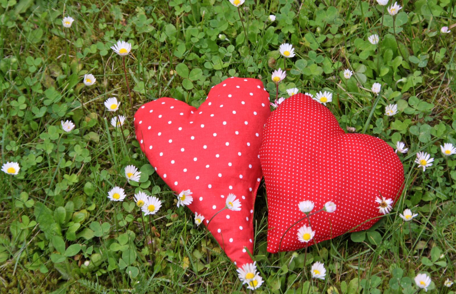 Canon EOS 1000D (EOS Digital Rebel XS / EOS Kiss F) sample photo. Heart, romantic, valentine photography