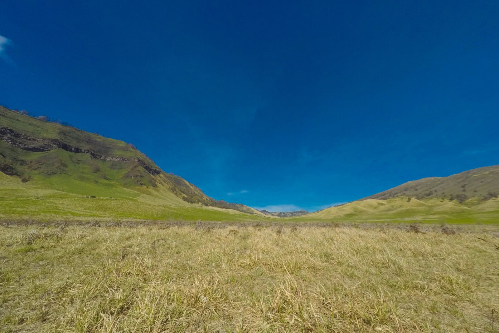 GoPro HERO4 Black sample photo. Savana, bromo, indonesia photography