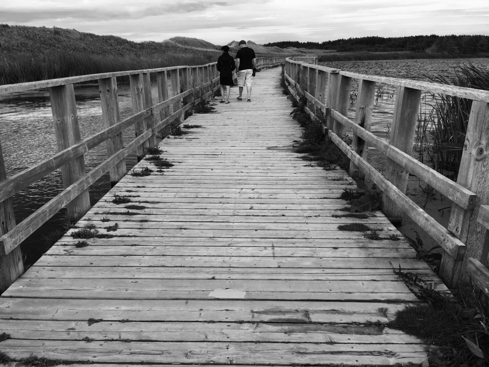 iPhone 6 Plus back camera 4.15mm f/2.2 sample photo. Bridge, black and white photography