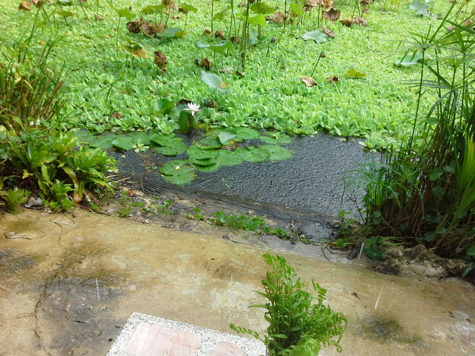 Samsung Galaxy Note 10.1 sample photo