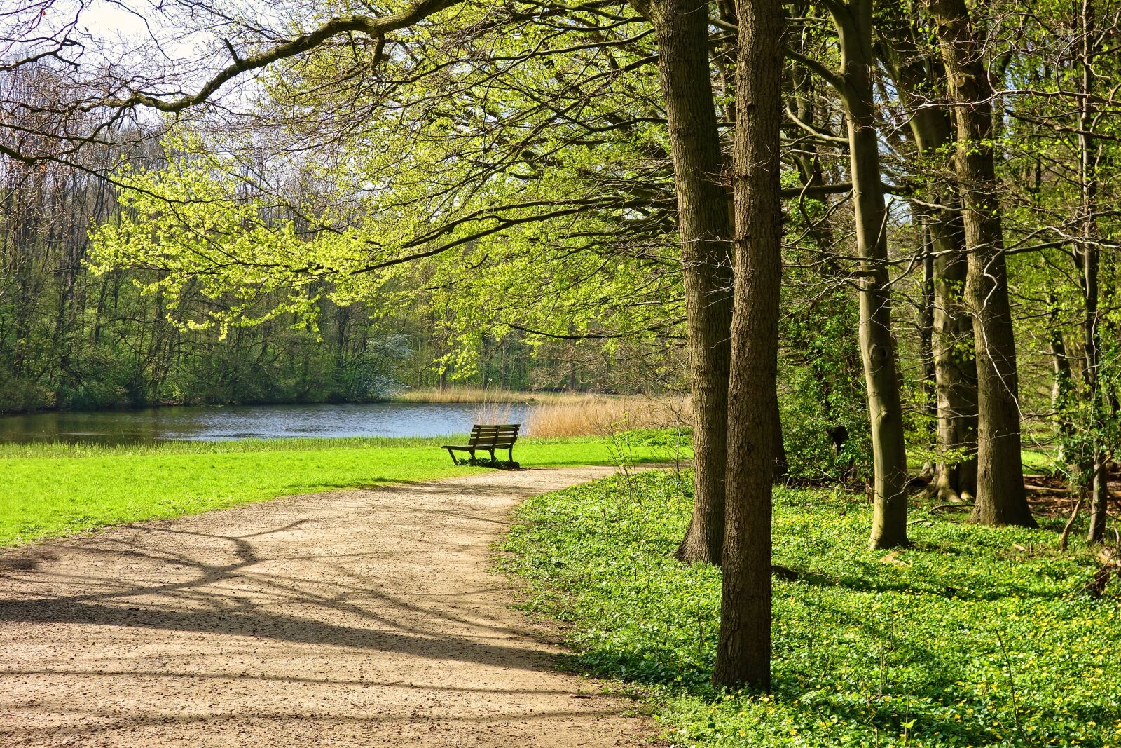 Sony Cyber-shot DSC-RX100 sample photo. Park, path, bench photography