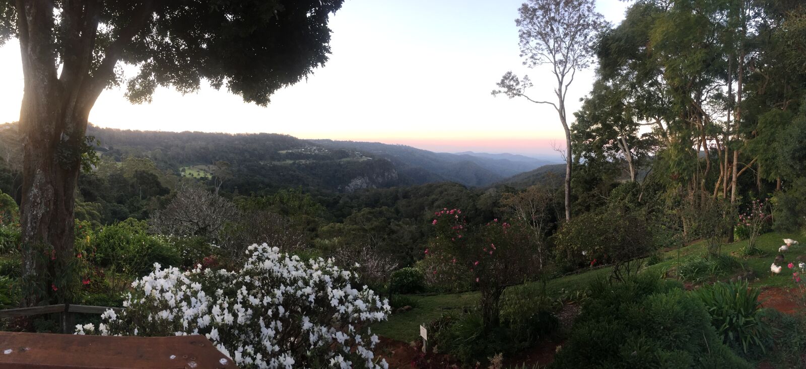 iPhone 6 Plus back camera 4.15mm f/2.2 sample photo. Mount, tamborine, queensland photography