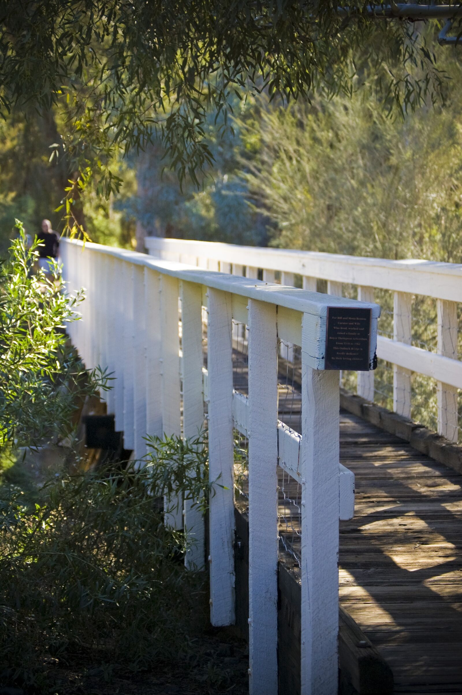 Nikon D40 sample photo. Nature, bridge, quiet photography