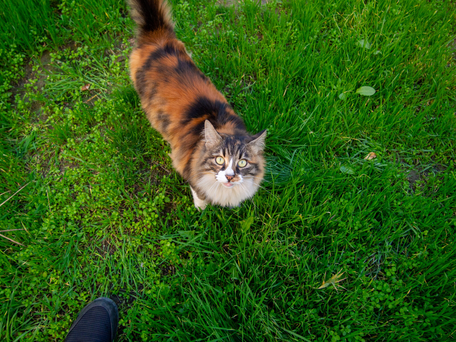 Olympus OM-D E-M5 sample photo
