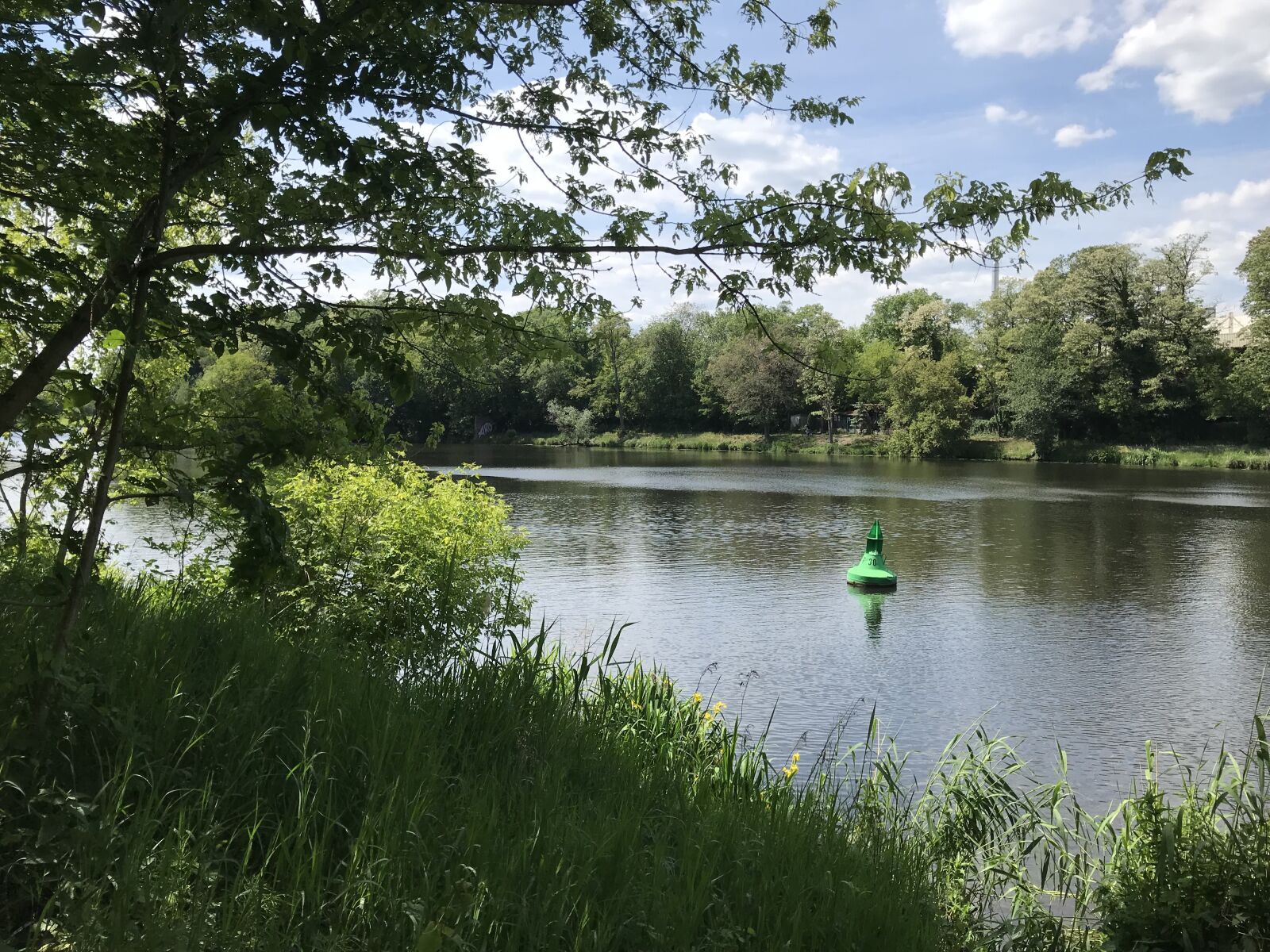 iPhone 7 back camera 3.99mm f/1.8 sample photo. Water, boje, green photography