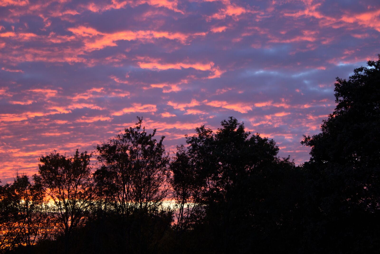 Canon EOS 600D (Rebel EOS T3i / EOS Kiss X5) sample photo. Evening sky, mood, sunset photography