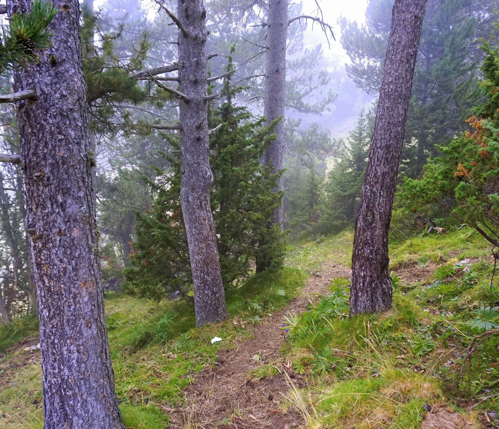 Sony a6000 sample photo. Trail, mountain, hiking photography