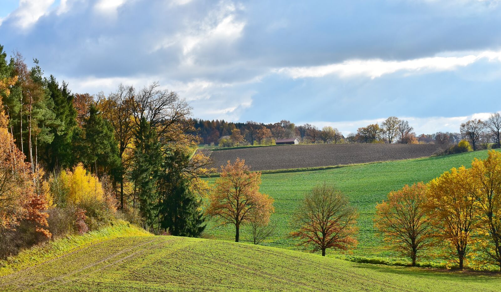 Nikon D7200 sample photo. Landscape, tree, sunlight photography