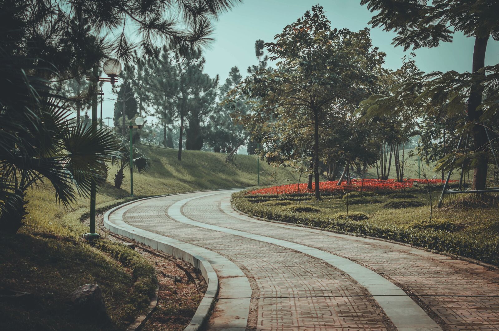 Nikon D90 sample photo. Garden, park, way photography