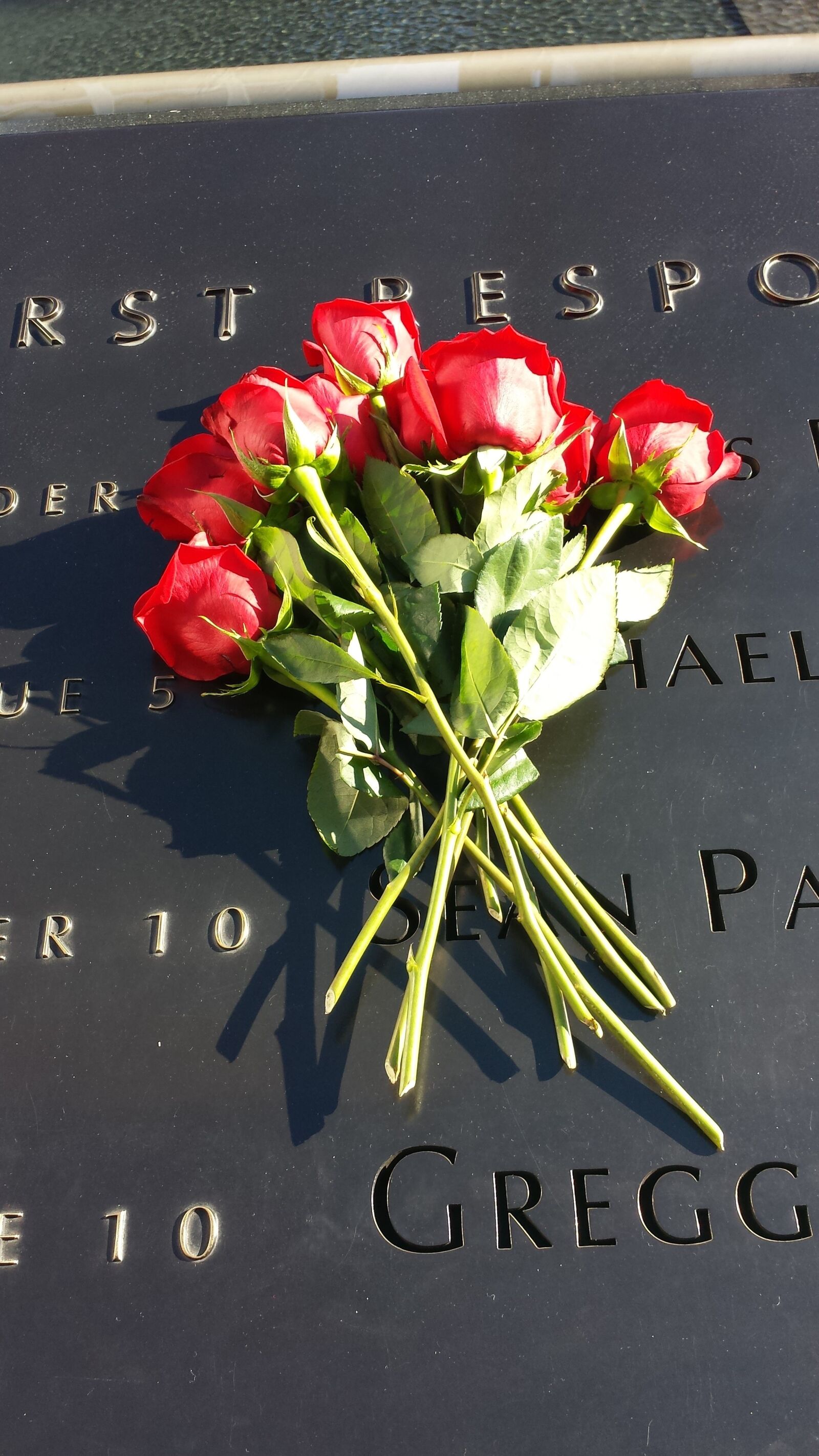 Samsung Galaxy S4 sample photo. Roses, memorial, national photography