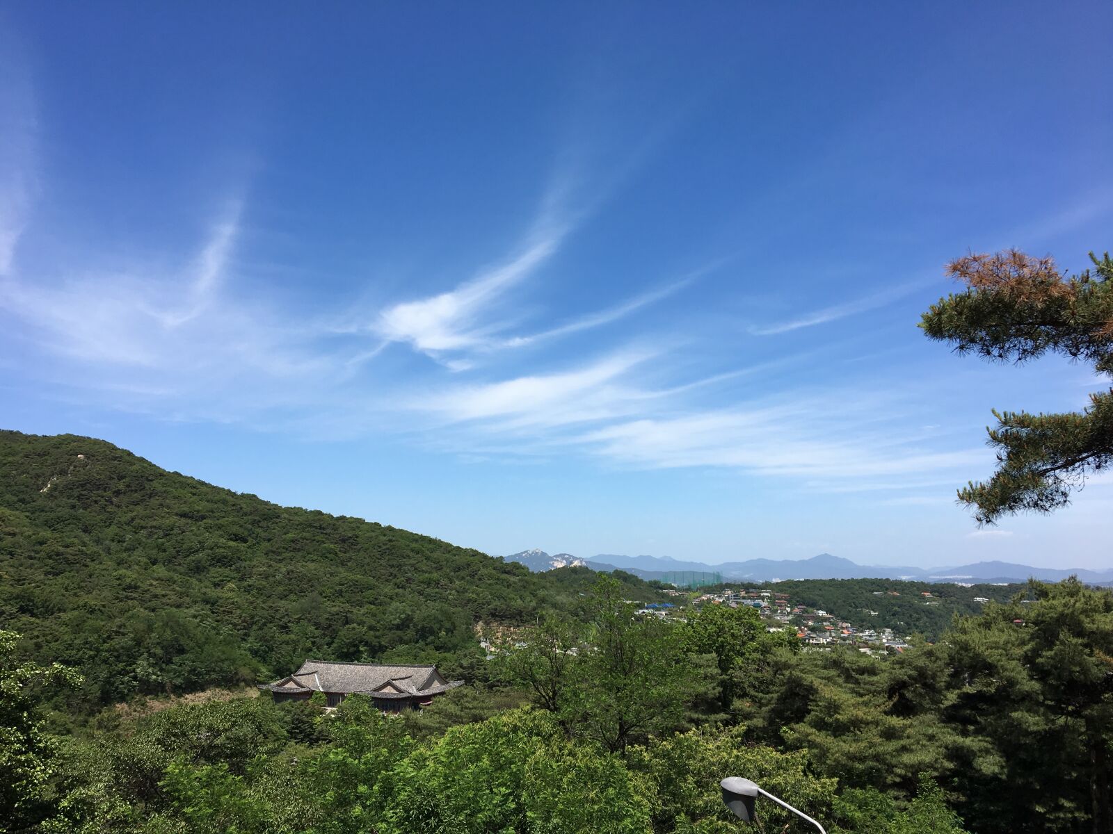 Apple iPhone 6s sample photo