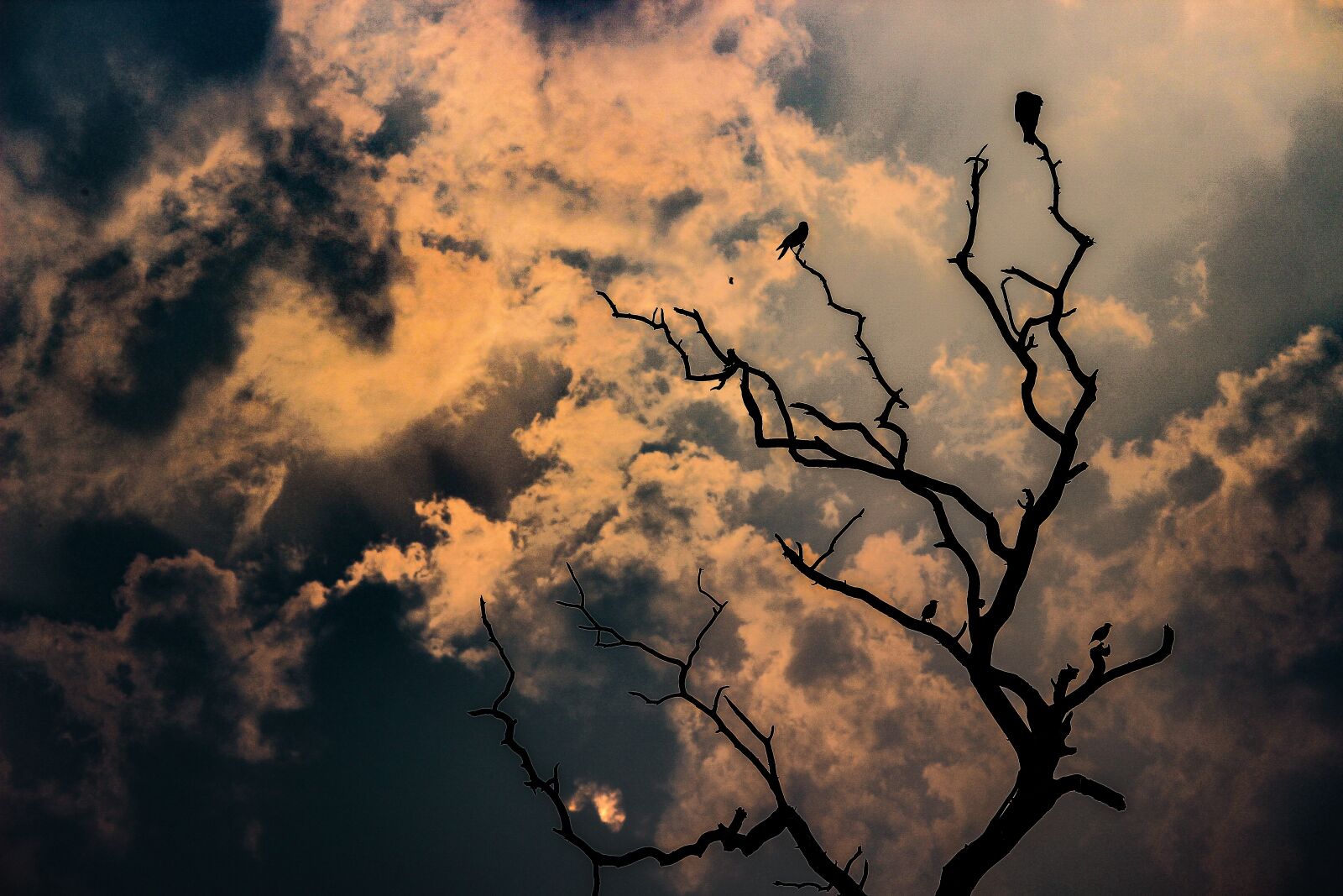 Canon EOS 600D (Rebel EOS T3i / EOS Kiss X5) sample photo. Sky, clouds, sunset photography