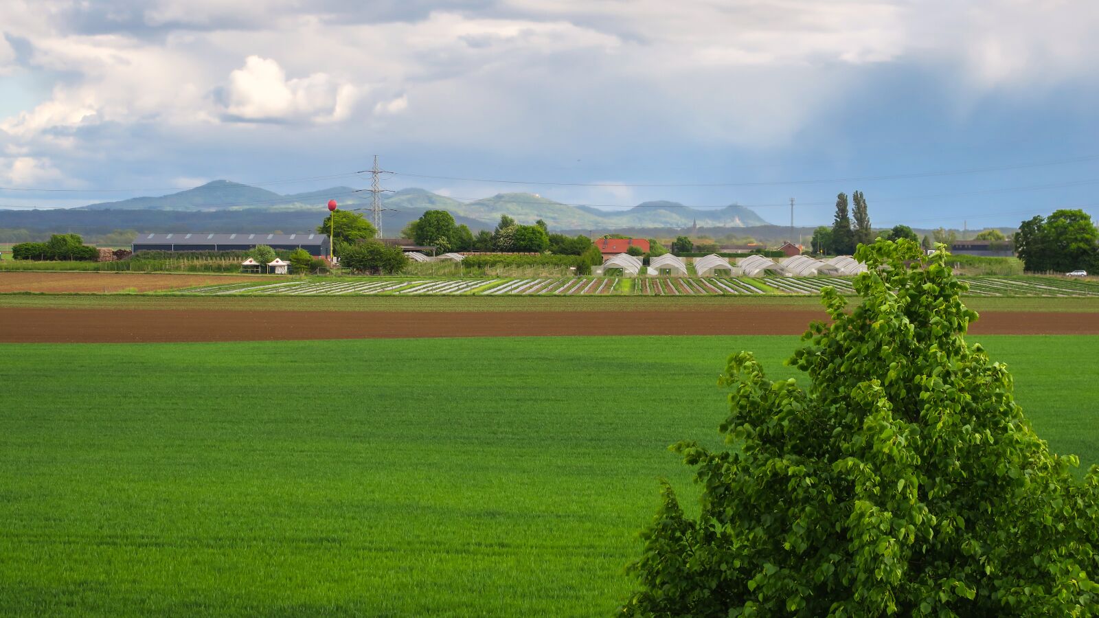 Canon PowerShot G3 X sample photo. Field, agriculture, mountains photography