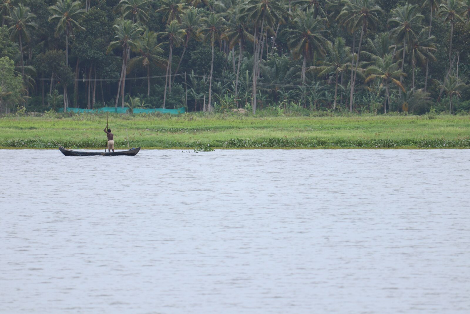 Canon EOS 250D (EOS Rebel SL3 / EOS Kiss X10 / EOS 200D II) sample photo. Kerala, nature, landscape photography