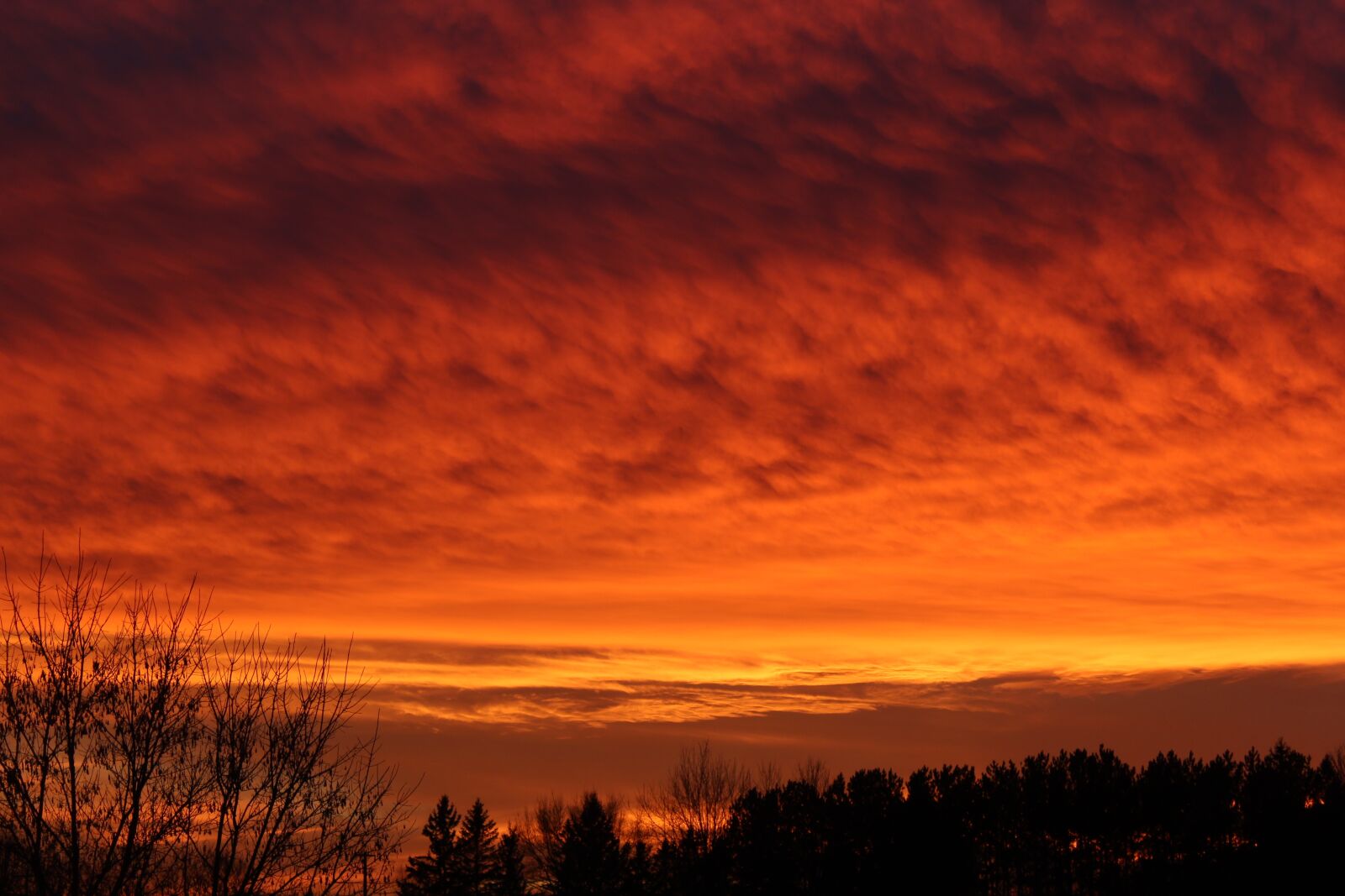 Canon EOS 1200D (EOS Rebel T5 / EOS Kiss X70 / EOS Hi) sample photo. Sunset, pink, yellow photography