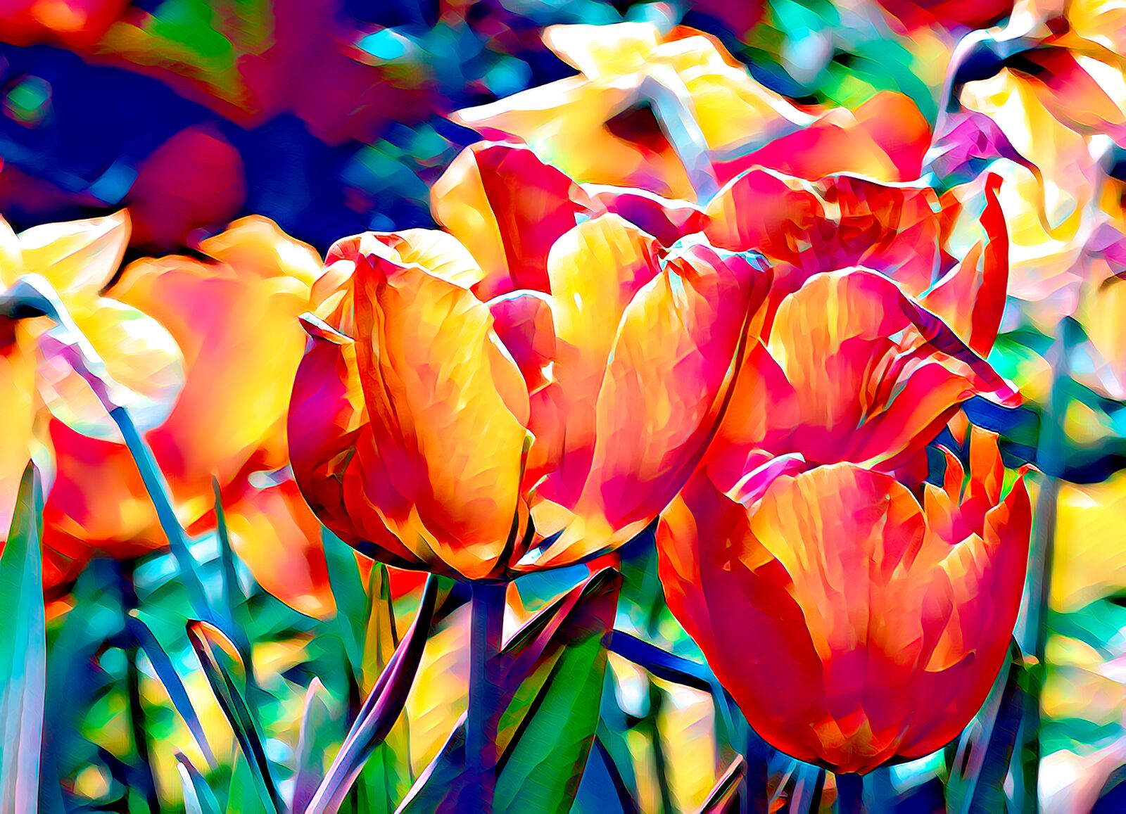 Canon EOS 550D (EOS Rebel T2i / EOS Kiss X4) sample photo. Tulips, flowers, blossom photography