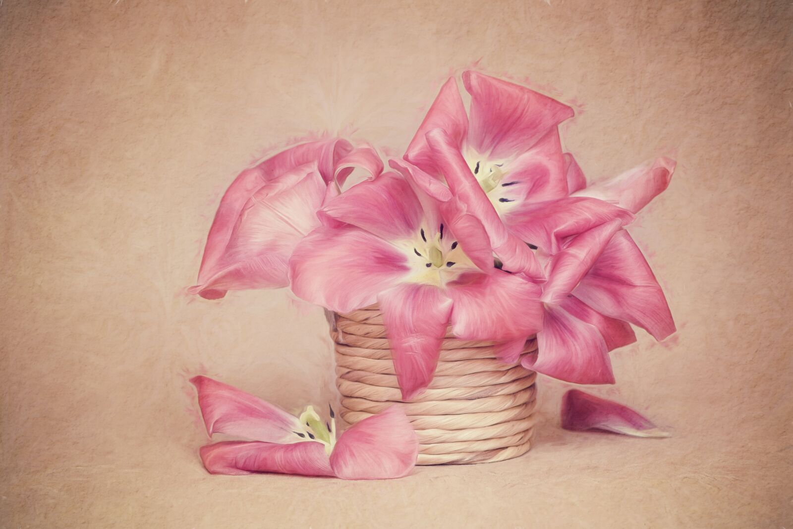 Nikon D750 sample photo. Image, painting, tulips photography