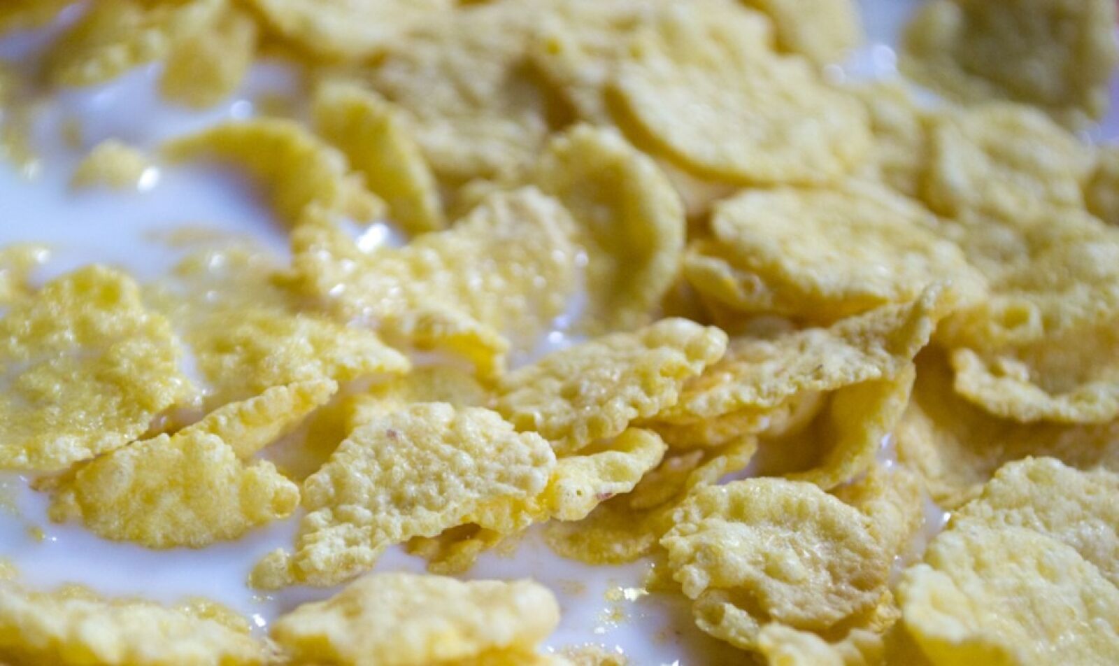 Nikon D3100 sample photo. Cornflakes, breakfast, muesli photography