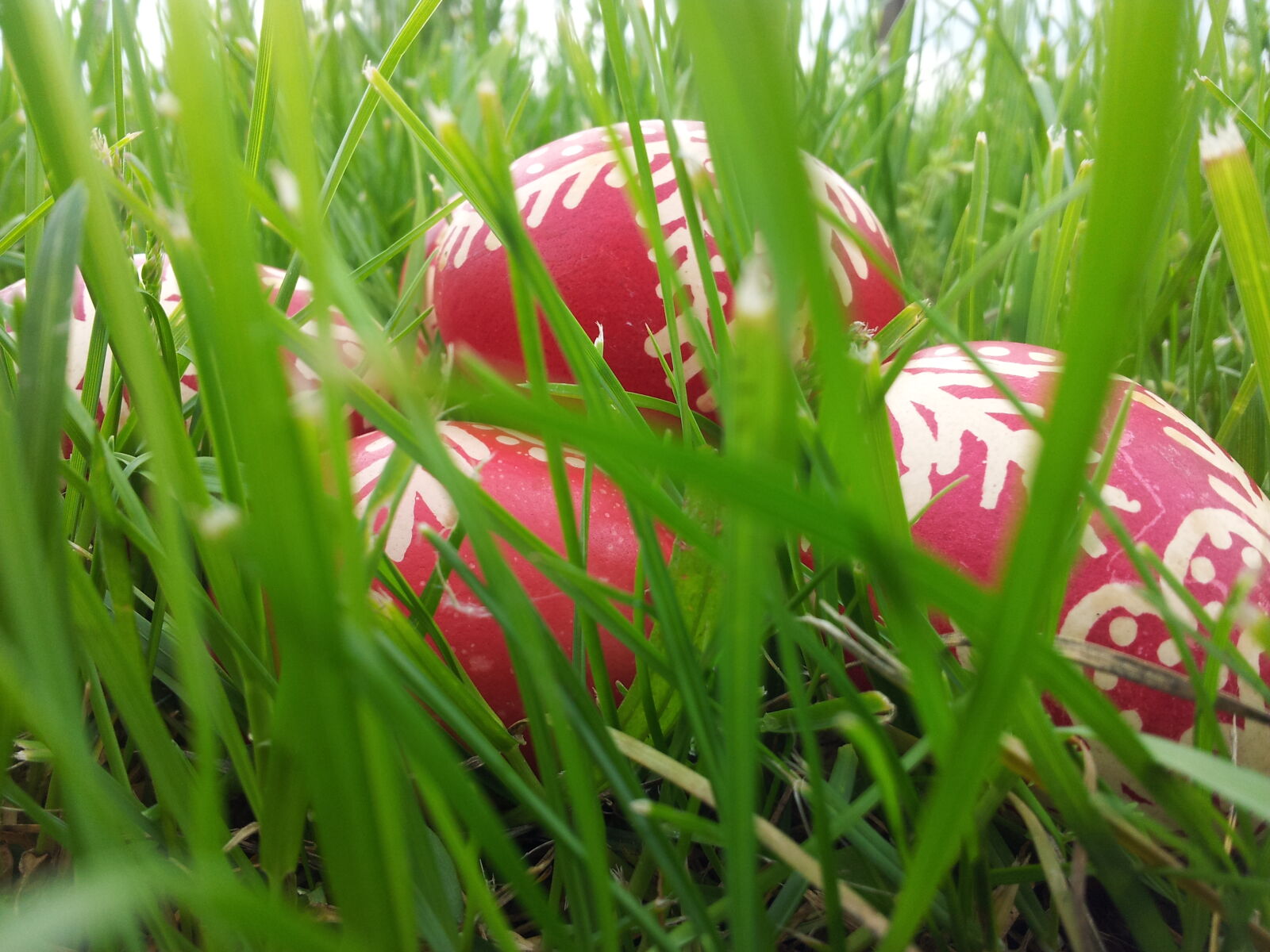 Samsung Galaxy S2 sample photo. Countryside, easter, eggs, grass photography