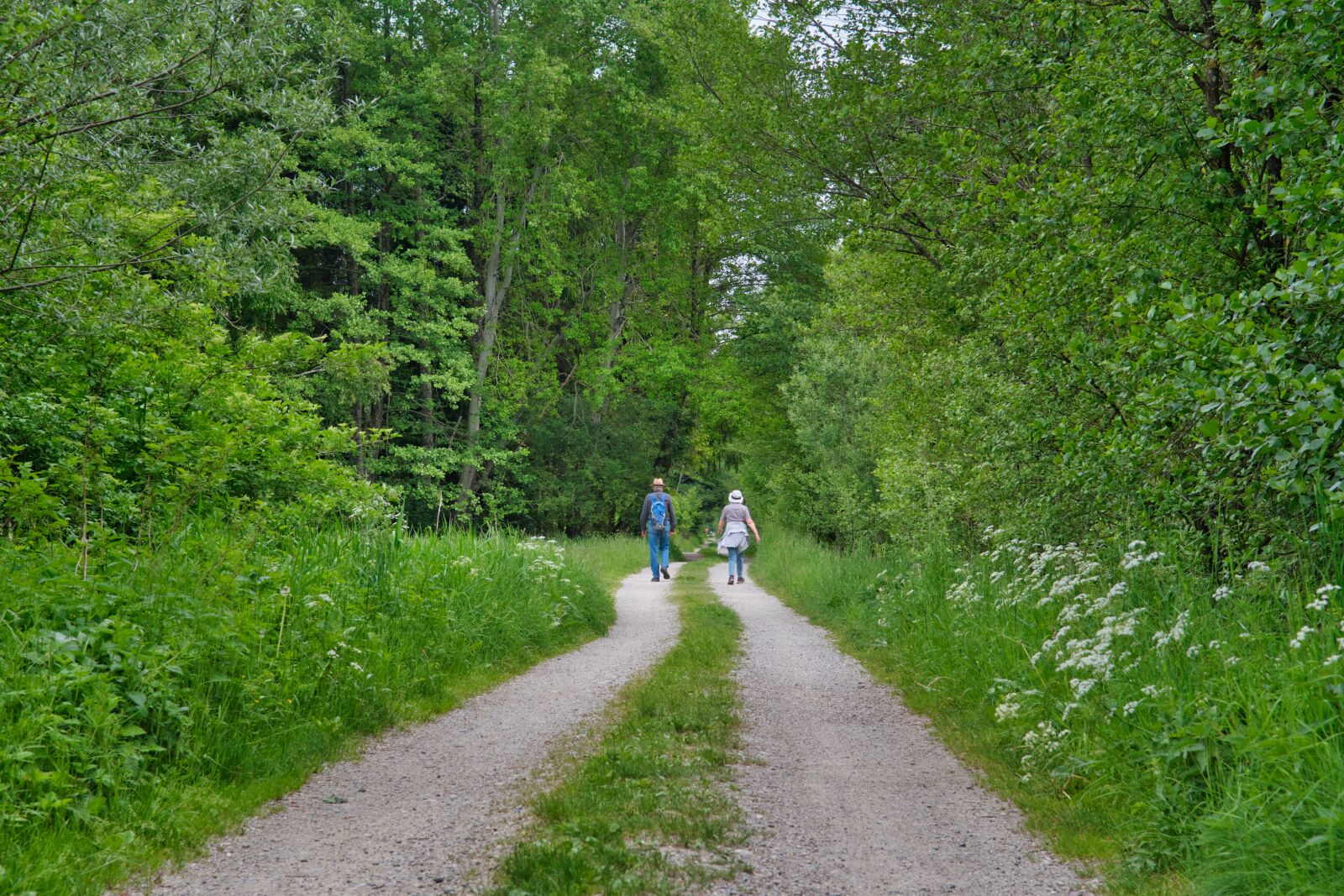 Nikon D7500 sample photo. Hiking, walk, away photography