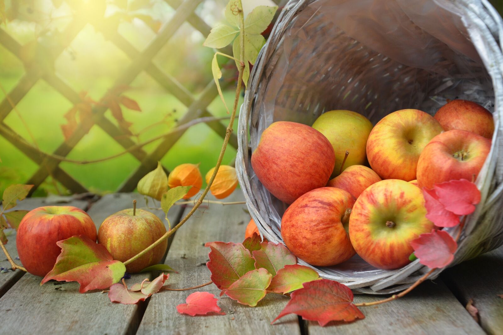 Nikon D7100 sample photo. Apple, autumn, leaf photography