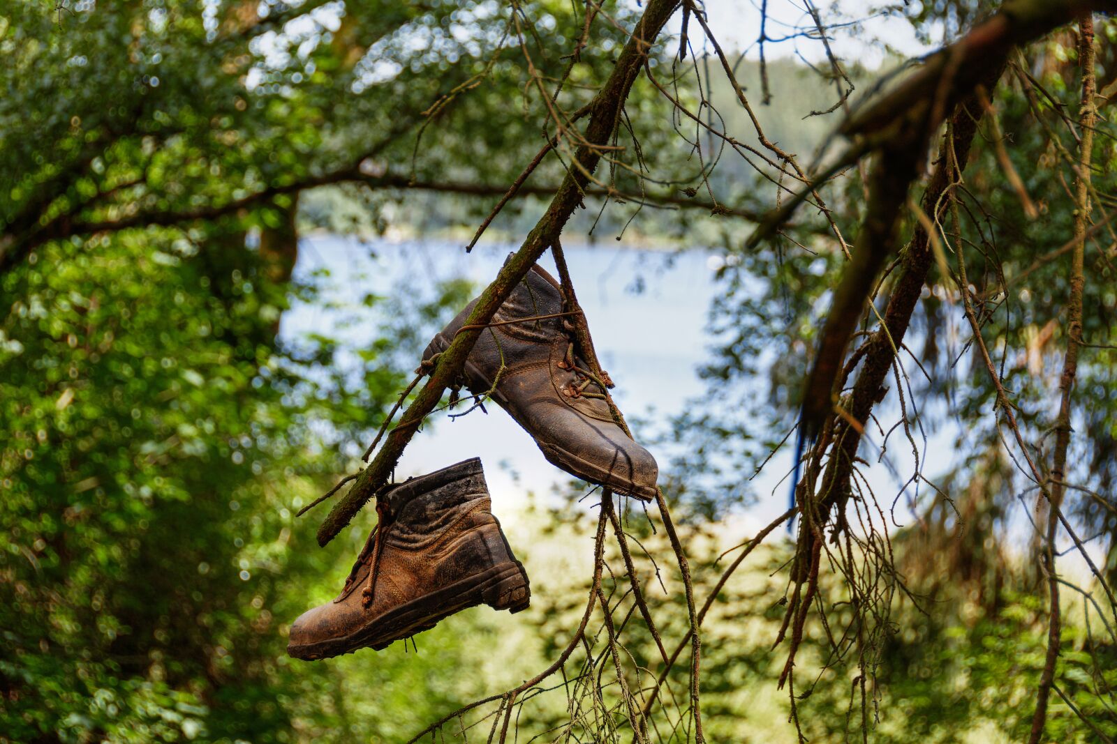 Nikon D7200 sample photo. Shoes, leather, hiking photography