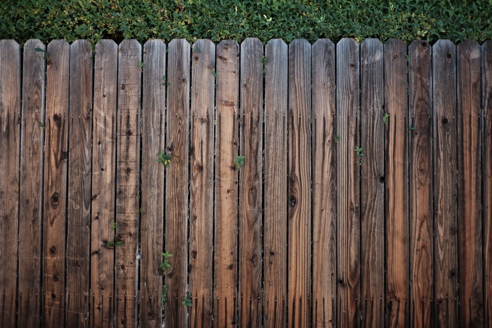 Fujifilm XF 18mm F2 R sample photo. Fence, wood, wooden photography