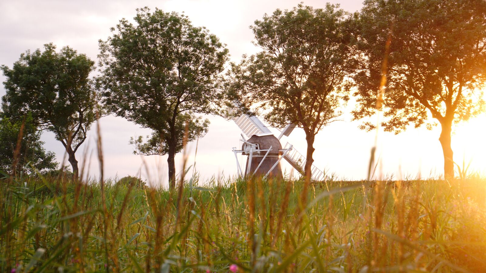 Panasonic Lumix DMC-G85 (Lumix DMC-G80) sample photo. Sunset, netherlands, dutch photography