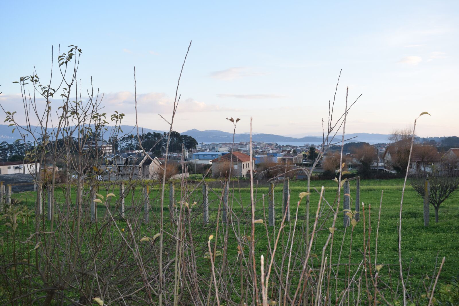 Nikon D3300 sample photo. Nature, lawn, landscape photography