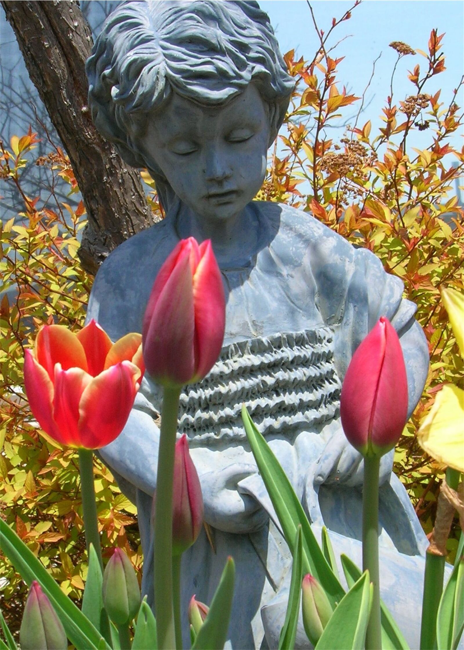 Nikon E5600 sample photo. Girl, tulips, watering can photography