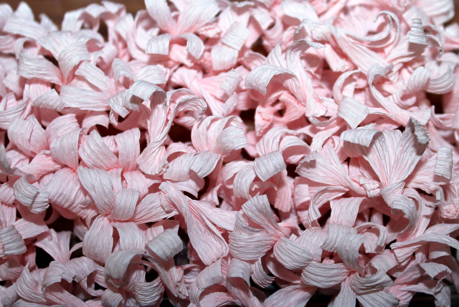 Canon EOS 1200D (EOS Rebel T5 / EOS Kiss X70 / EOS Hi) sample photo. Paper, pink, pattern photography