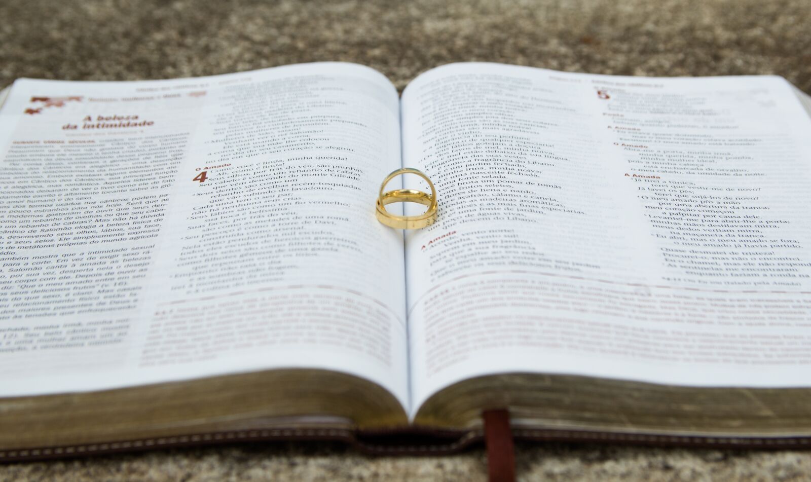 Canon EOS 60D sample photo. Bible, loved, beloved photography