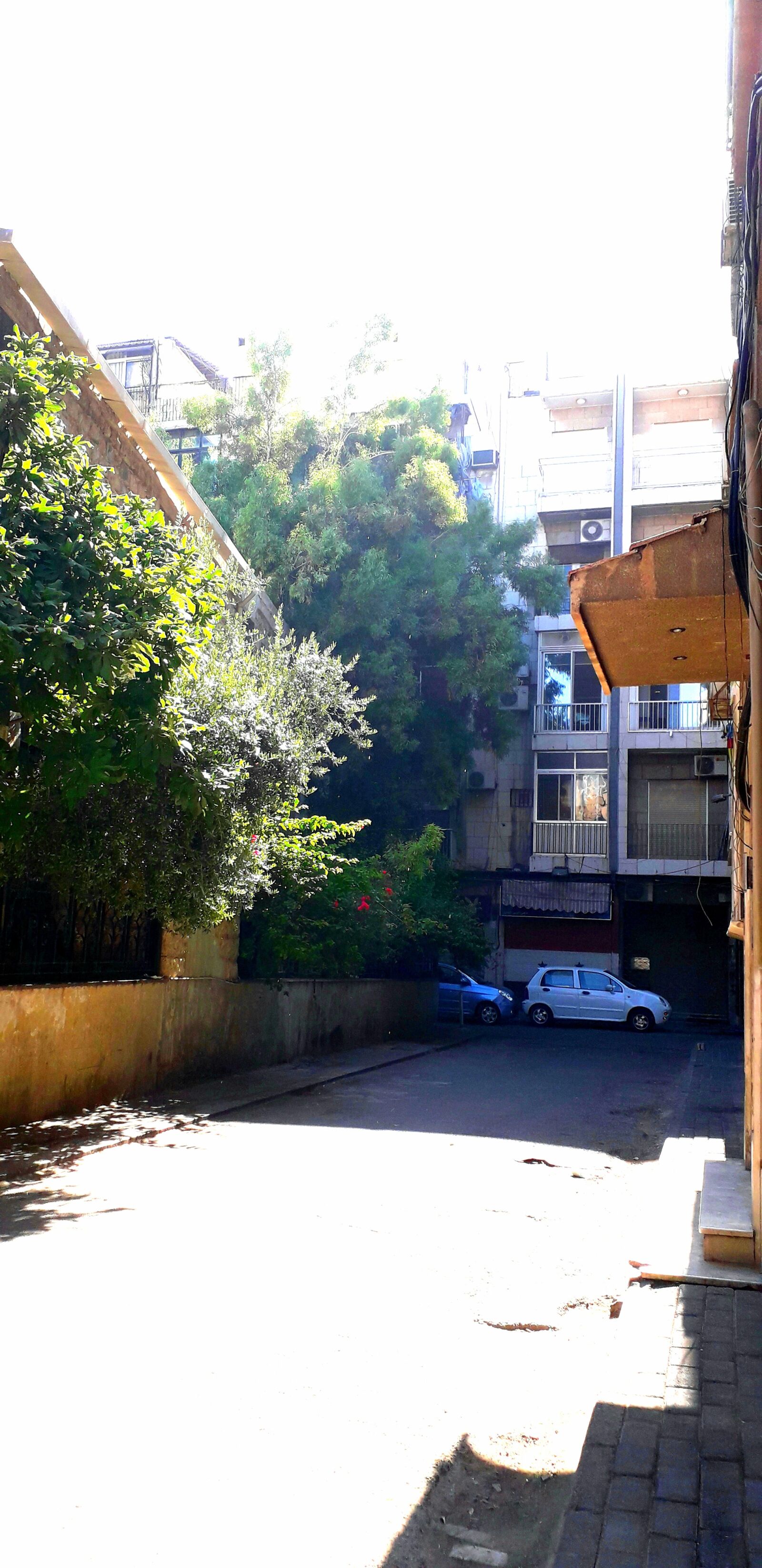 Samsung Galaxy J6 sample photo. Tree, damascus, city photography