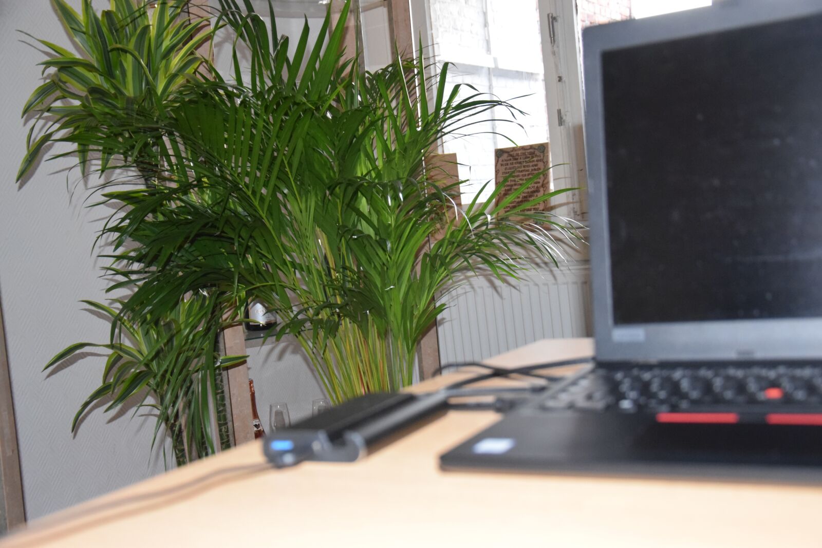 Nikon D5300 sample photo. Office space, marty special photography