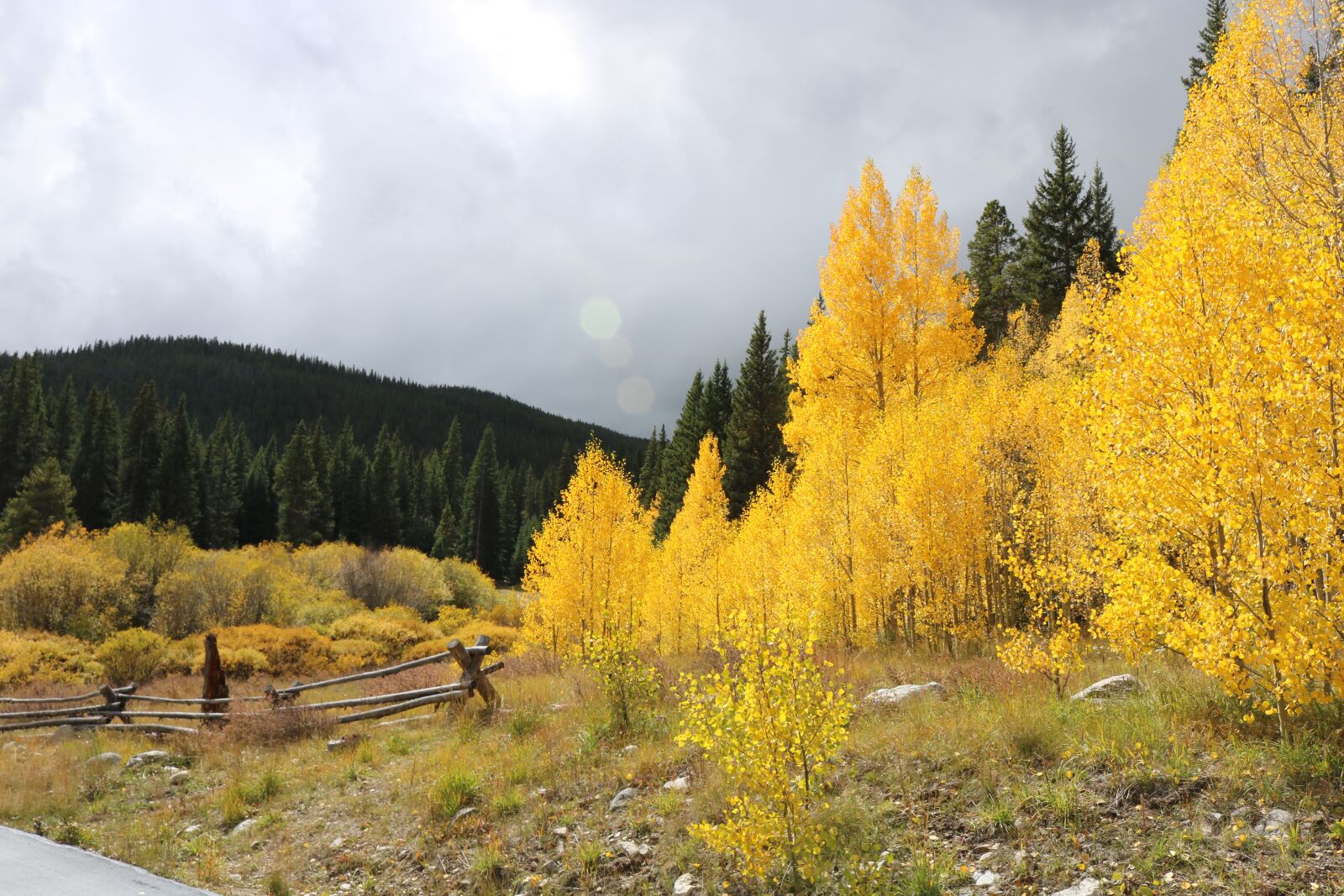 Canon EOS 750D (EOS Rebel T6i / EOS Kiss X8i) sample photo. Mountains, trees, landscape photography