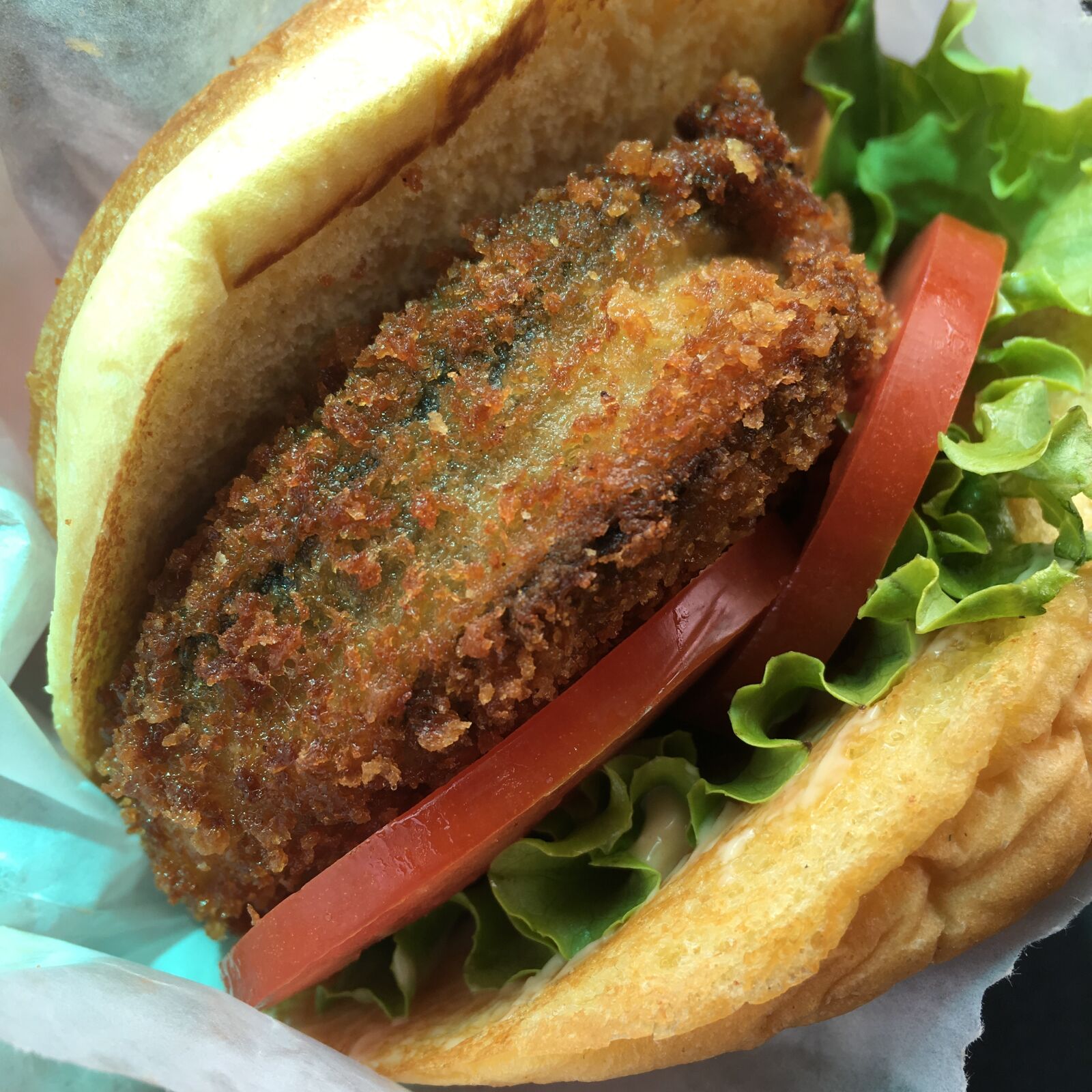 Apple iPhone 6s sample photo. Eggplant, burger, bun photography
