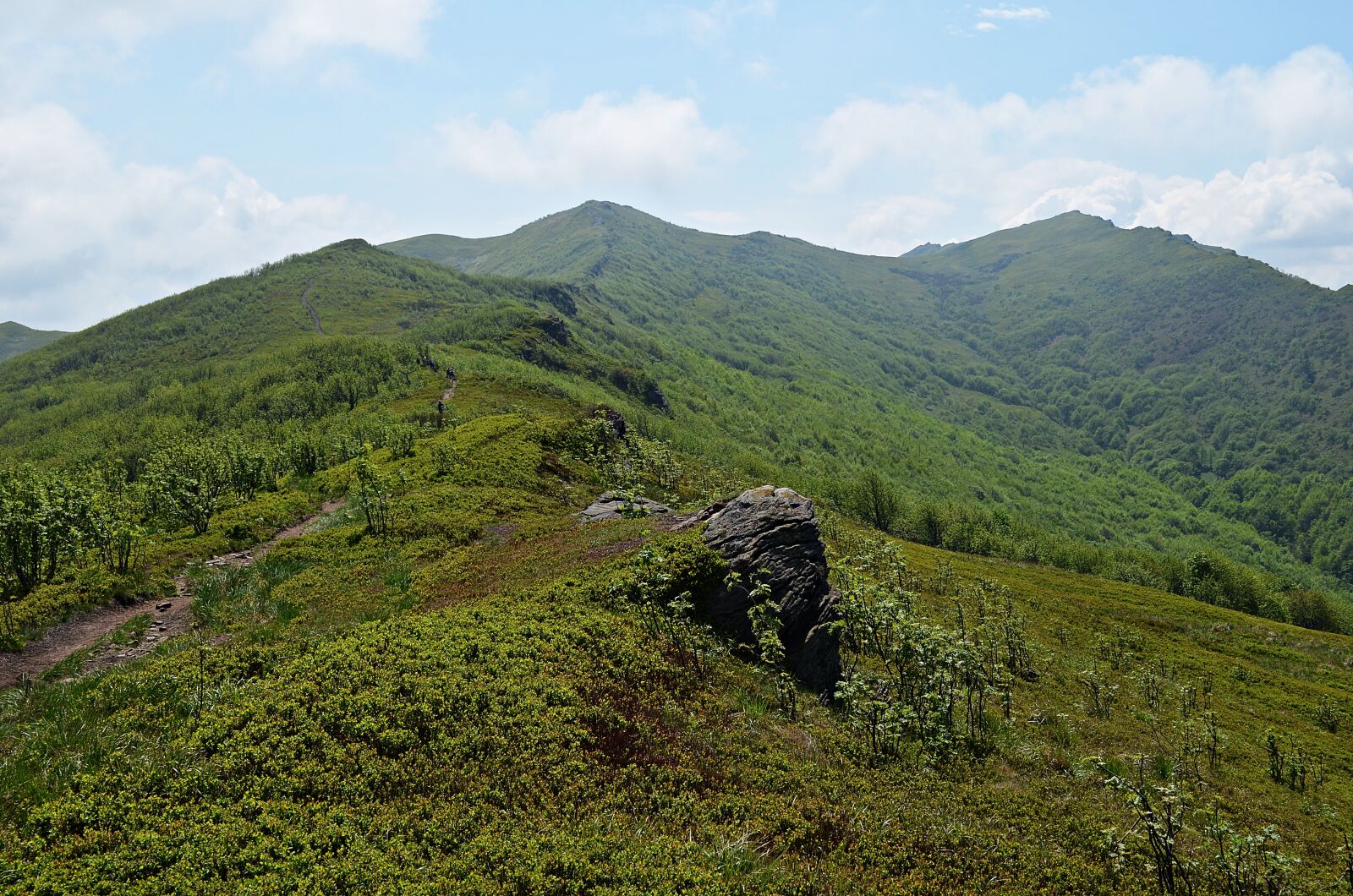 Nikon D5100 sample photo. Mountains, landscape, bieszczady photography
