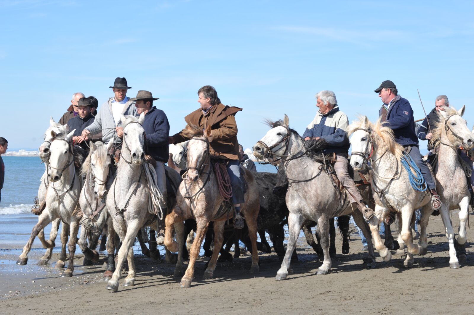 Nikon D700 sample photo. Horses, sea, guards photography