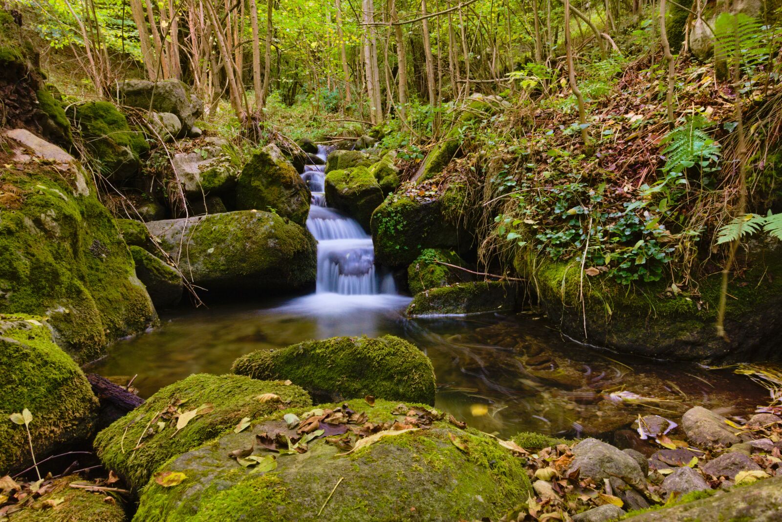 Sony DSC-RX100M5A sample photo. Creek, cascade, nature photography
