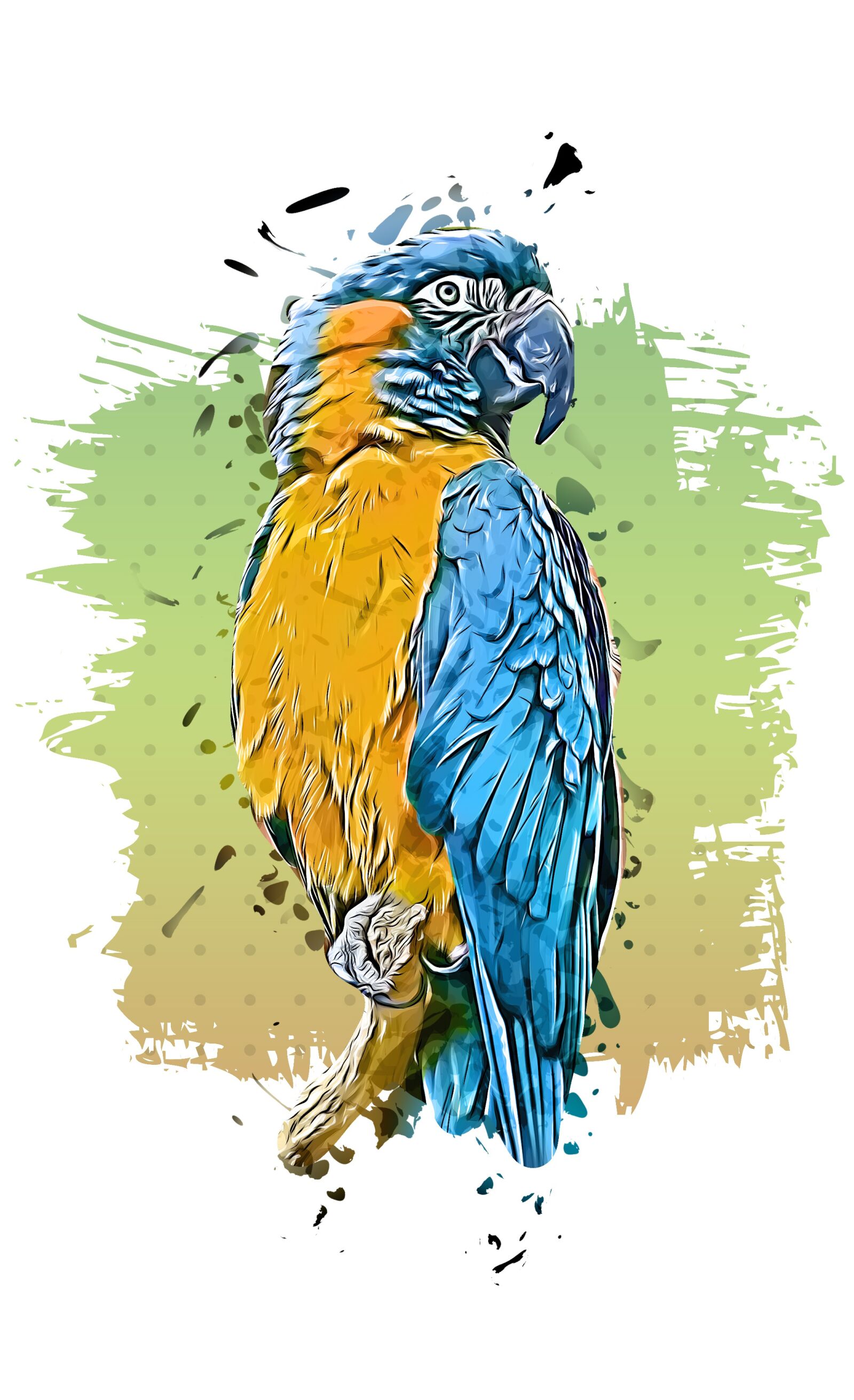 Nikon D7000 sample photo. Parrot, animal, bird photography